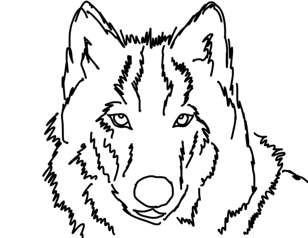Раскраска волк
