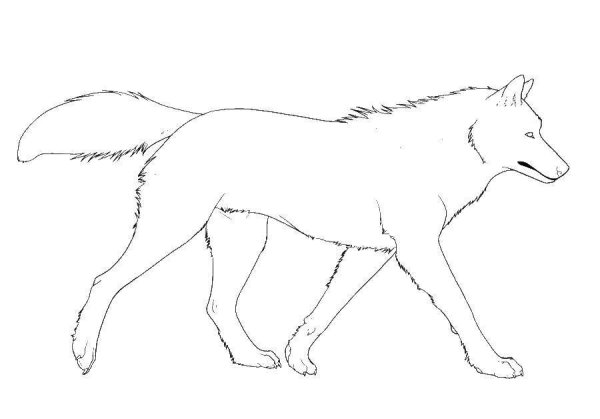Трафарет волка для рисования