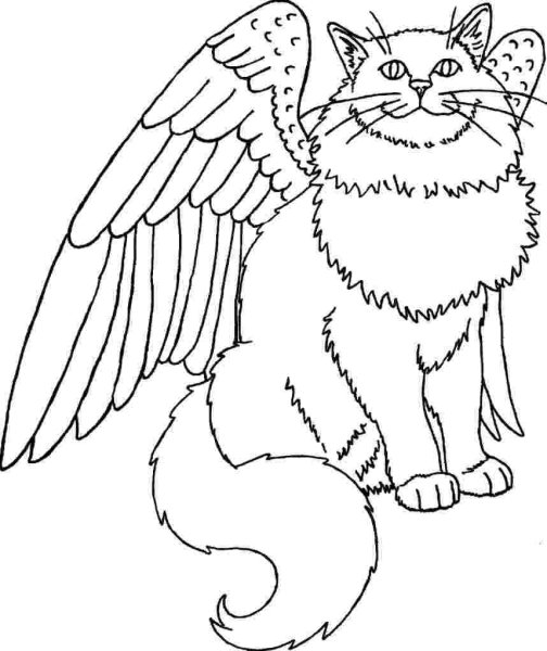 Раскраски котик с крыльями (45 фото)