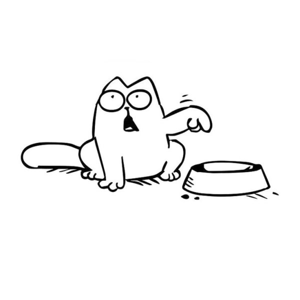 Кот Саймон с миской