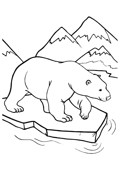 Раскраски три белых медведя (46 фото)