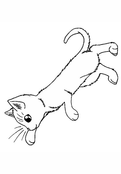 Раскраски котики маленькие