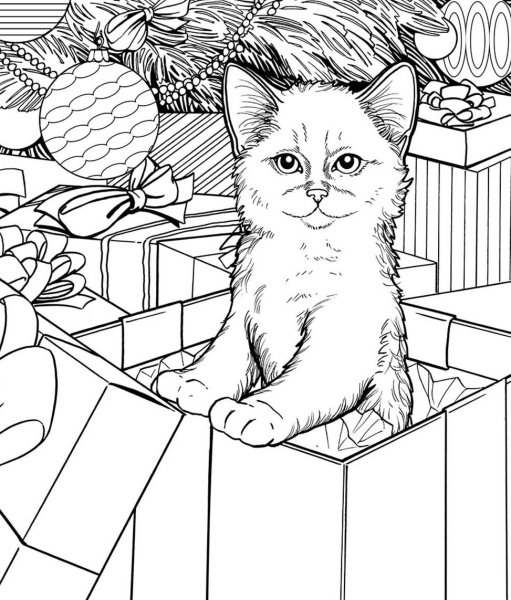 Раскраска. Котики