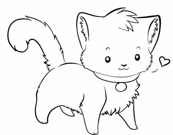 Раскраска. Котики