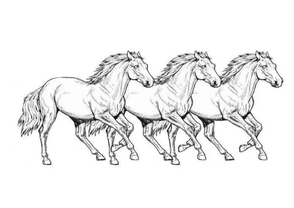 Тройка лошадей раскраска