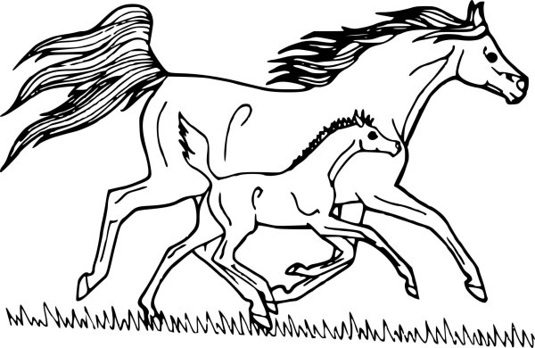 Раскраски три лошади (44 фото)