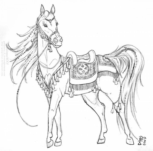 Сказочные лошади раскраска