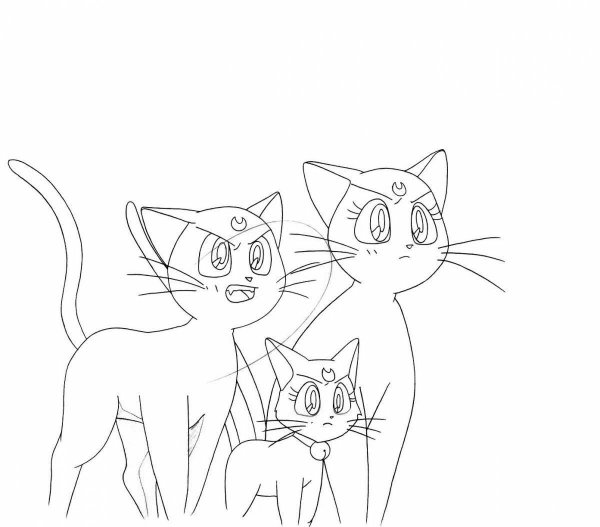 Кошка Луна из сейлормун раскраска