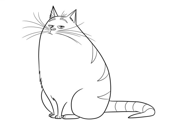 Кот сидит рисунок