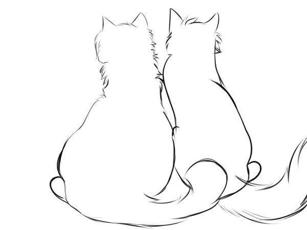 Нарисовать кошку