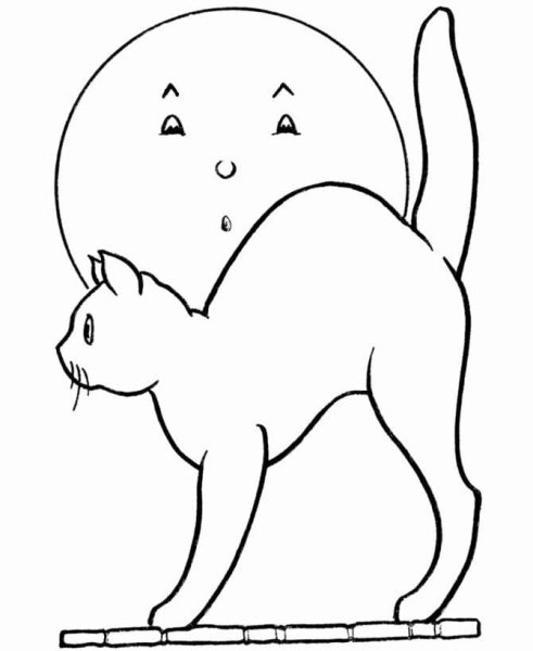 Кошка контурный рисунок для детей