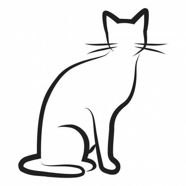 Кот контур