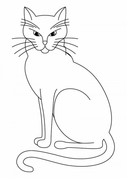 Контуры котов