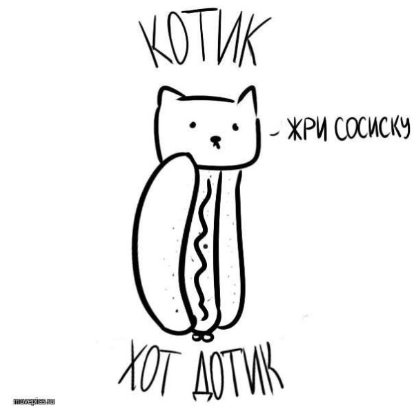 Раскраски мемы котики