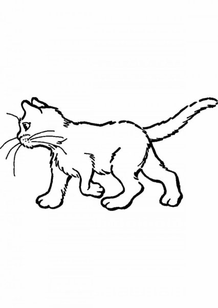 Раскраска уличные коты