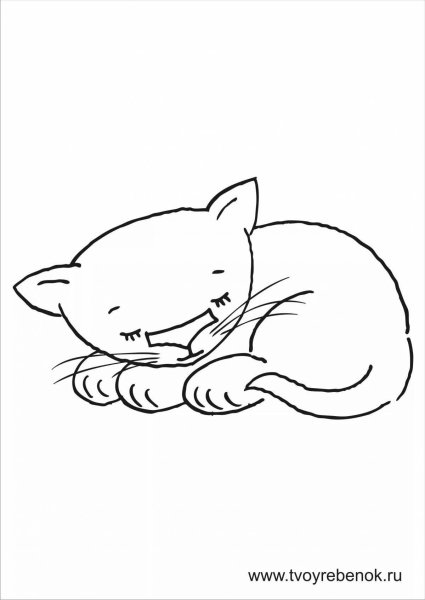 Спящий кот раскраска для детей