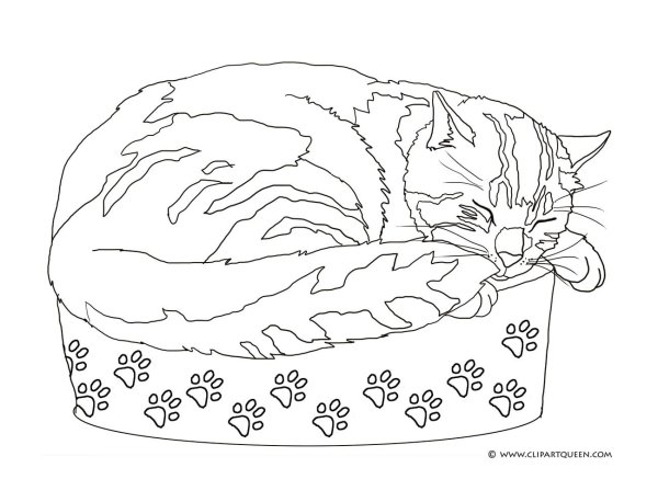Раскраска торт котик