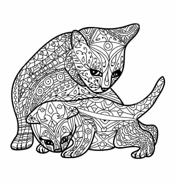 Раскраски антистресс котята