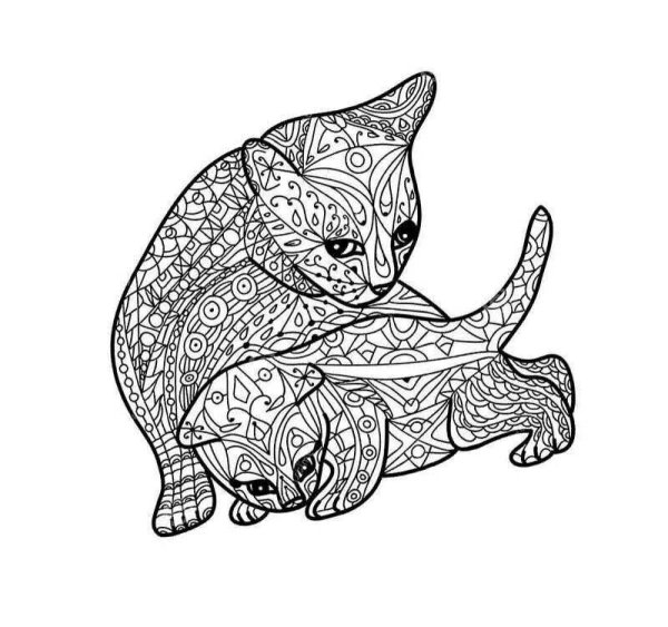 Раскраски коты