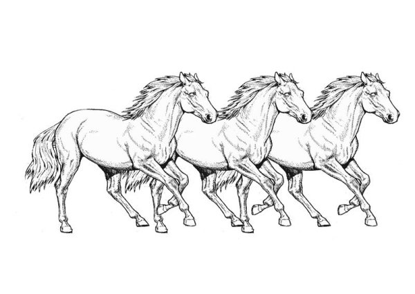 Три лошади раскраска