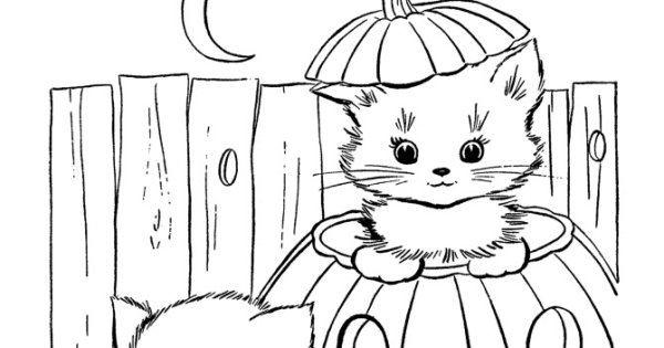 Кошка на тыкве раскраска