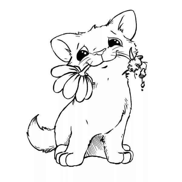 Кошечка с бантиком раскраска
