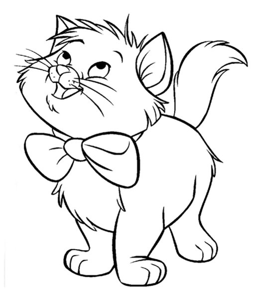 Раскраска кот