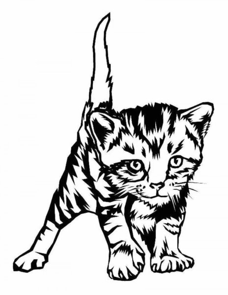 Котенок. Раскраска