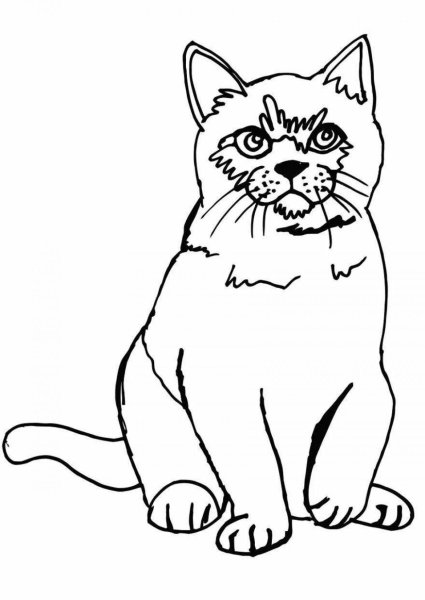 Кот для раскрашивания