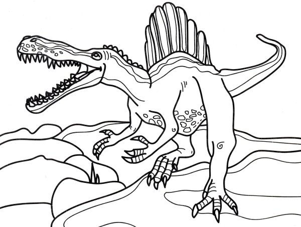 Раскраска динозавры спинлхавр