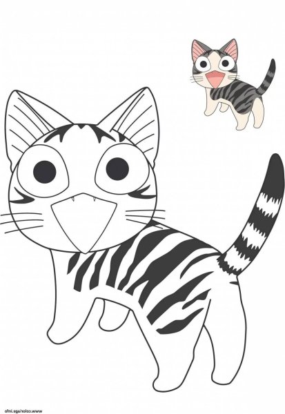 Котик чи раскраска