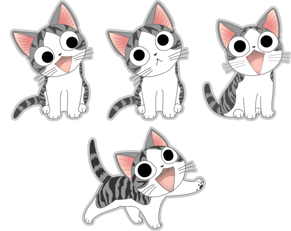 Котик Чии