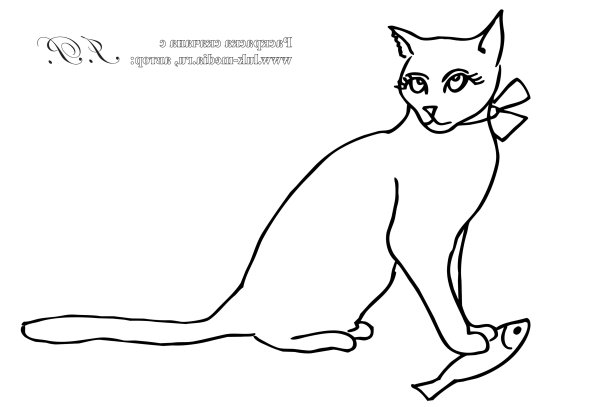 Снежные кошечки раскраска