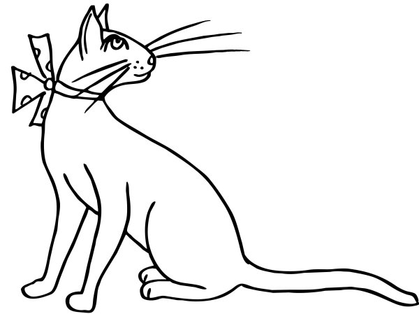 Кошка рисунок