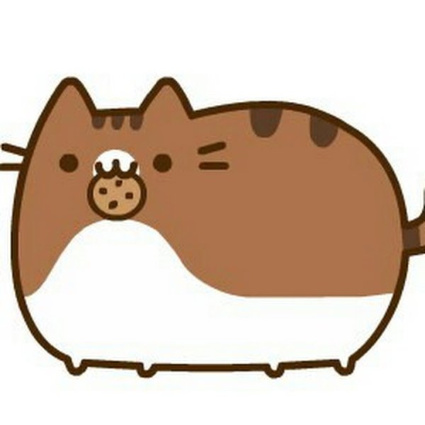 Котик печенька