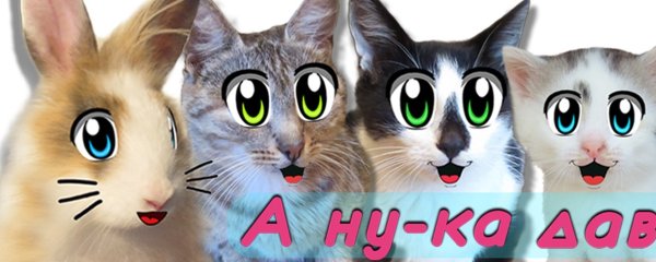 Раскраски котики а ну ка давайка (50 фото)