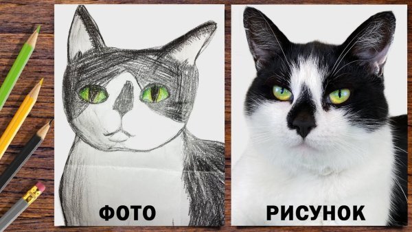 Анука давайка рисунки