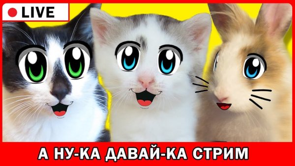 Малыш и Мурка