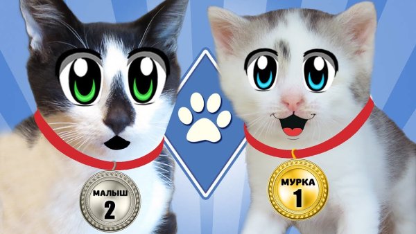 Анука давайка кот малыш и Мурка
