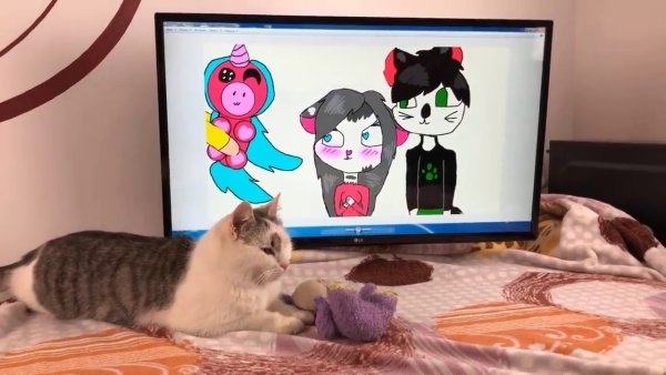 Анука давайка кот малыш и Мурка
