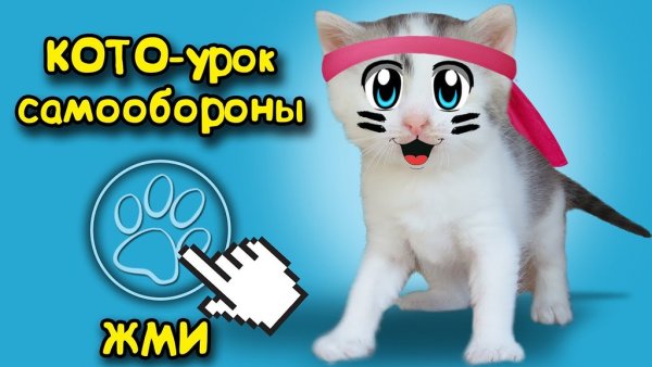 Анука давайка Мурка котенок