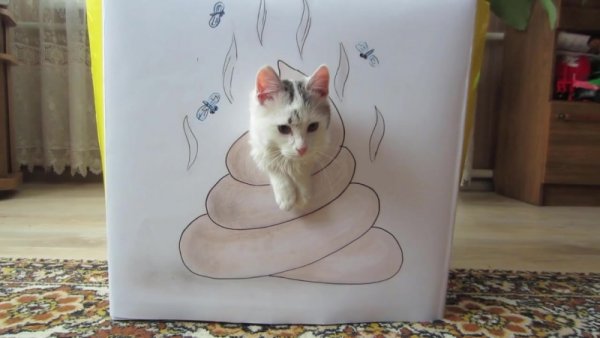Кошка Мурка Анука давайка
