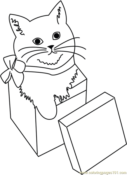 Котик с подарком раскраска