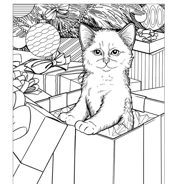 Раскраска новогодний котик