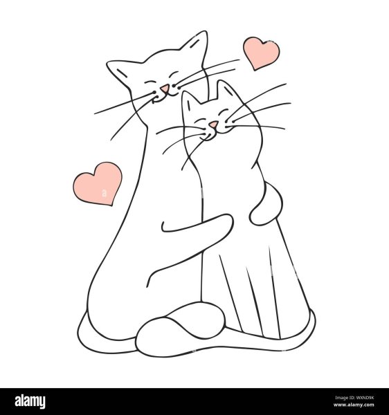 Влюбленный котик на белом фоне