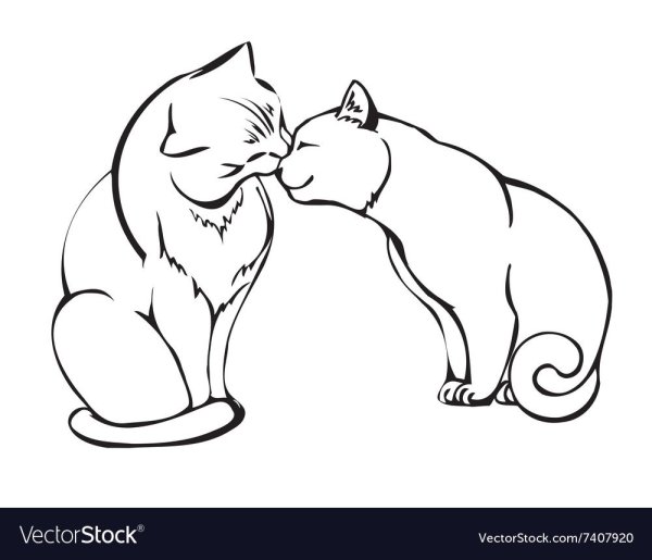 Влюбленные коты контур