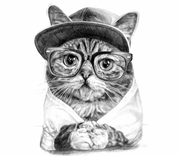 Кот в очках арт