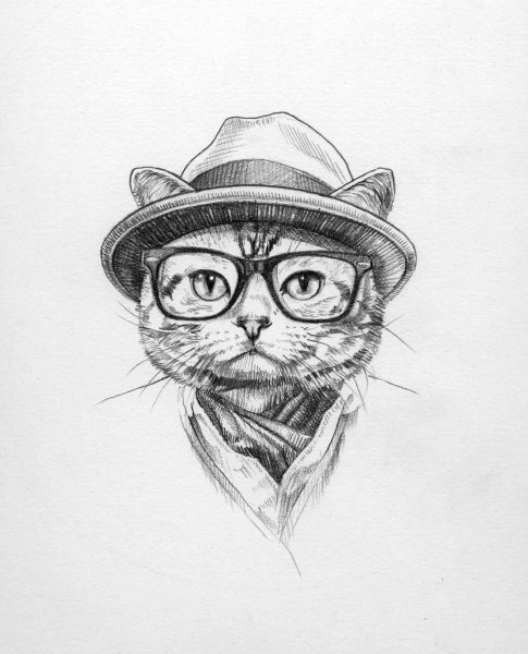 Крутые рисунки котов