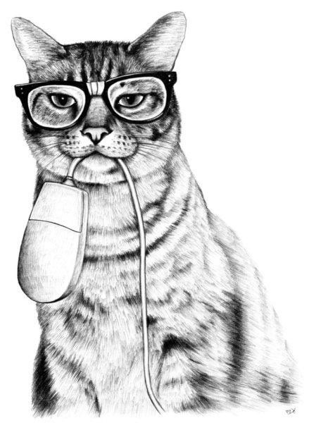 Нарисовать кота