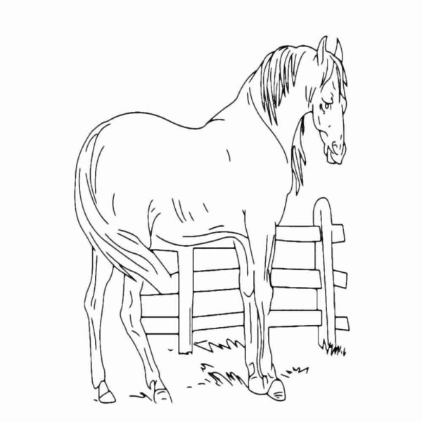 Слепая лошадь раскраска для детей